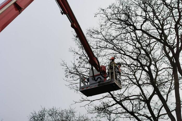 Weg afgesloten door loshangende tak