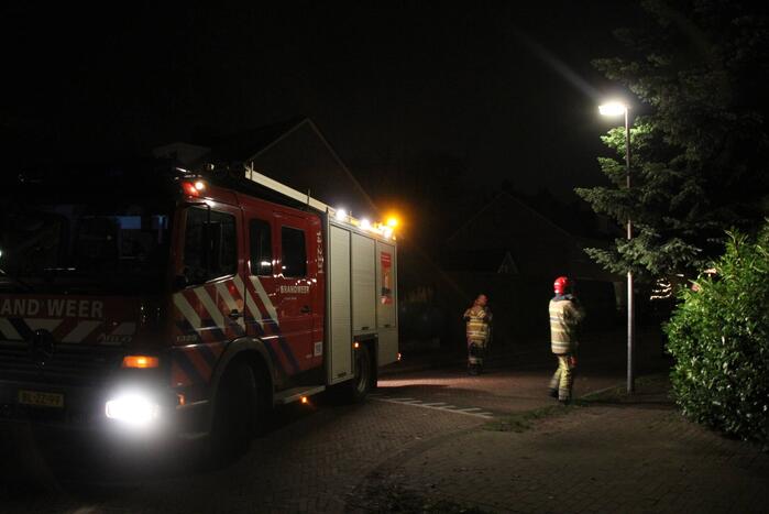 Brandweer laat kat schrikken en vlucht boom uit