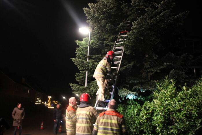 Brandweer laat kat schrikken en vlucht boom uit