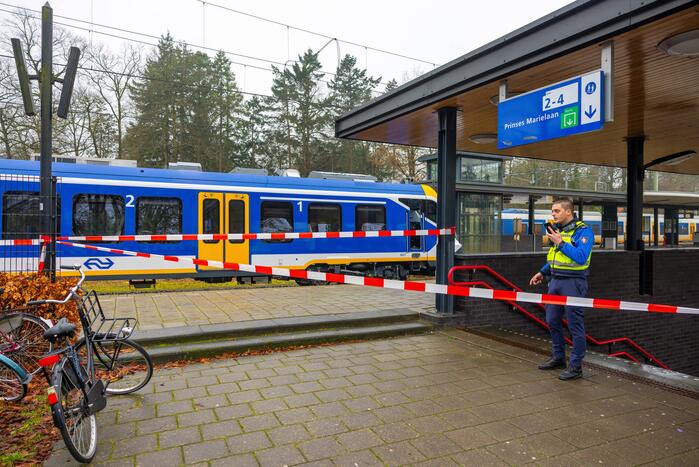 Treinverkeer ligt stil door aanrijding met persoon