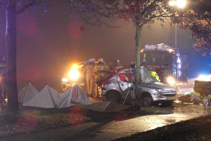 Auto crasht tegen boom