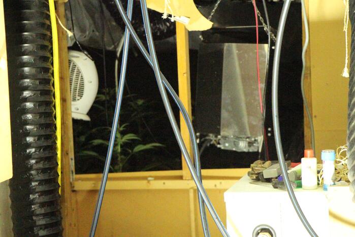 Hennepkwekerij aangetroffen in woning