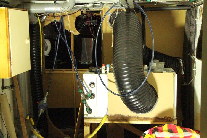 Hennepkwekerij aangetroffen in woning