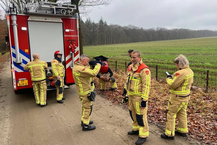 Jong hert vast in hekwerk
