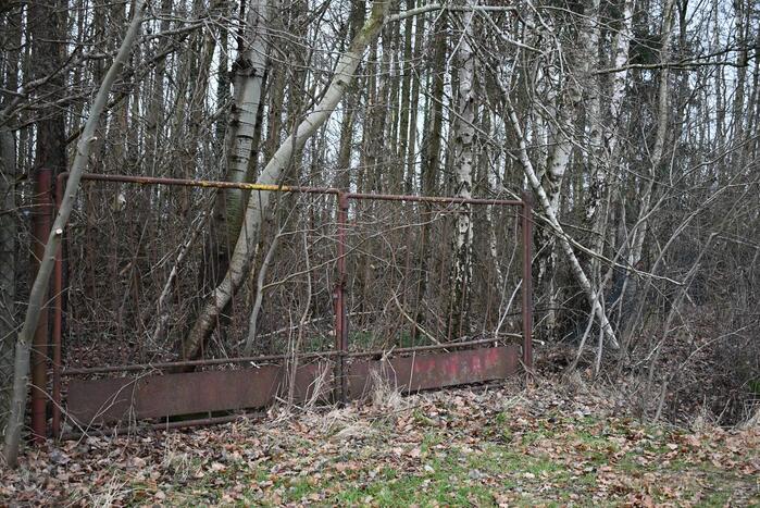 Hulpverleners redden ree uit hekwerk