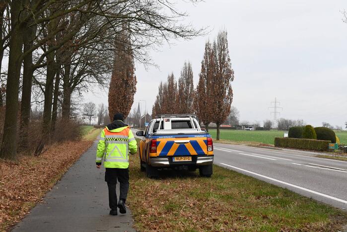 Hulpverleners redden ree uit hekwerk