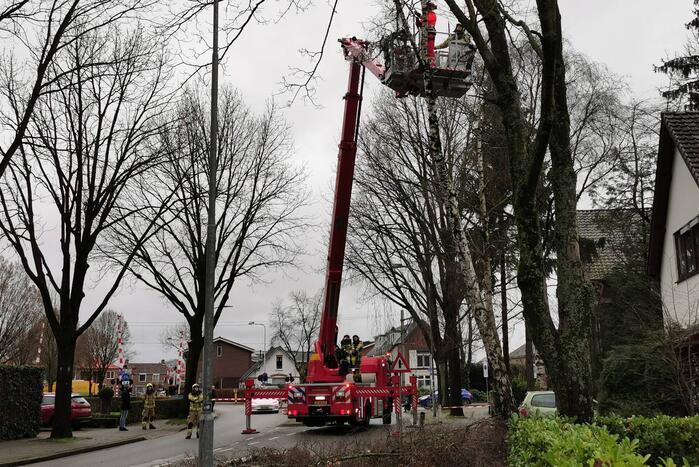 Brandweer verwijdert loshangende takken van boom