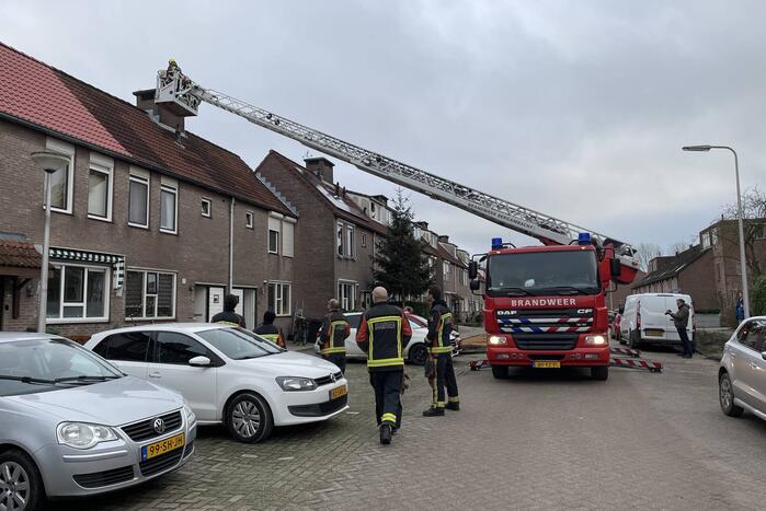 Kat vast op schoorsteen