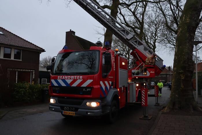 Gevaarlijke hangende tak verwijderd