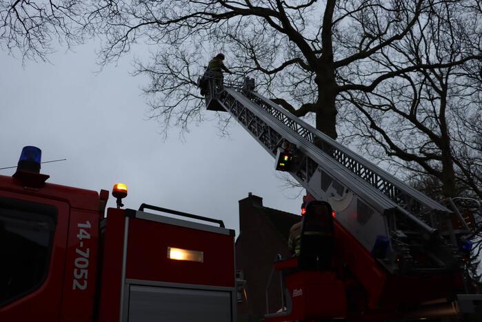 Gevaarlijke hangende tak verwijderd