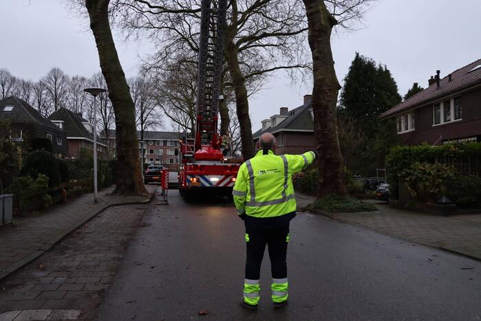 Gevaarlijke hangende tak verwijderd