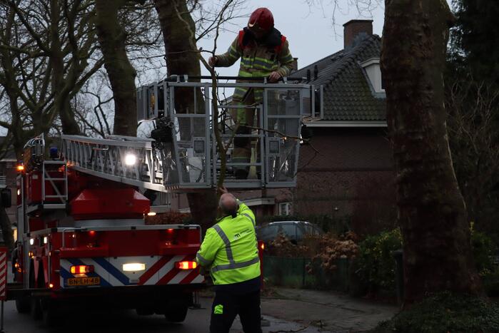 Gevaarlijke hangende tak verwijderd