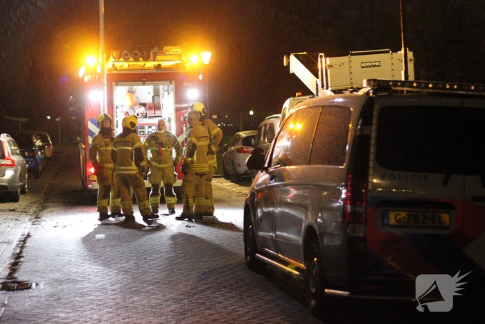 brand penningkruid puttershoek