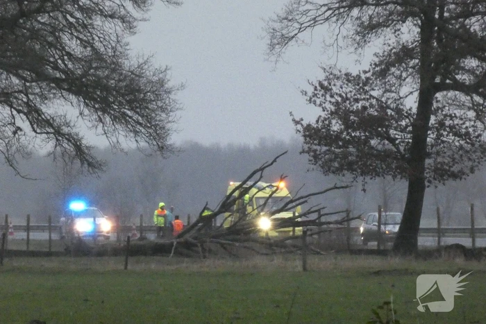 Auto raakt van de weg en belandt in berm