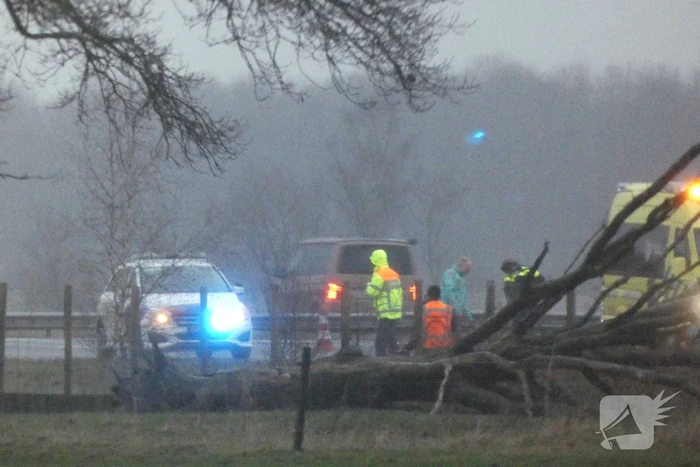 Auto raakt van de weg en belandt in berm