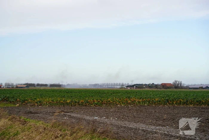 brand omloop den bommel