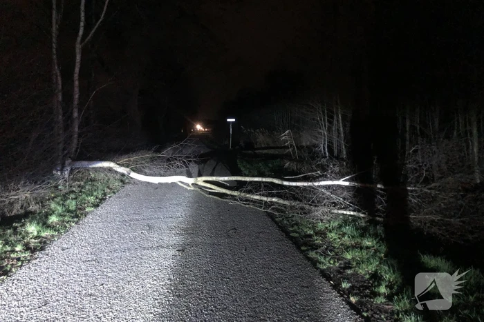 Weg geblokkeerd door omgevallen boom