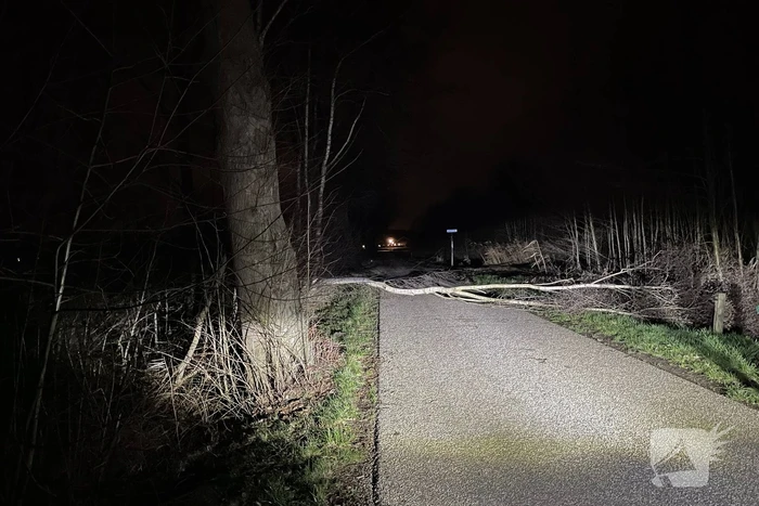 Weg geblokkeerd door omgevallen boom