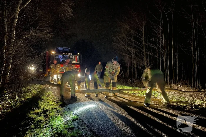 Weg geblokkeerd door omgevallen boom