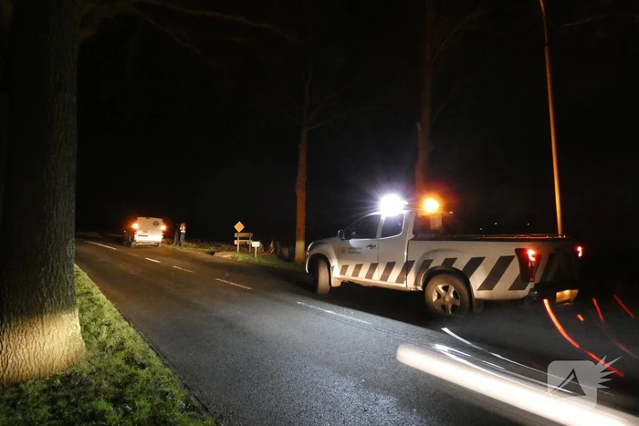 Schade aan bestelbus door botsing tegen boom
