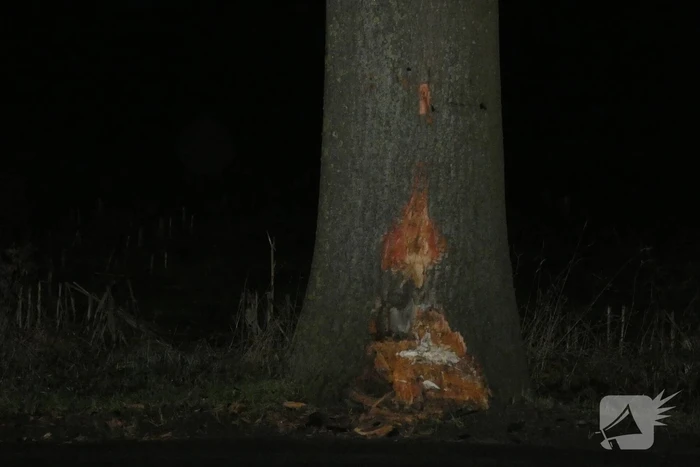 Schade aan bestelbus door botsing tegen boom