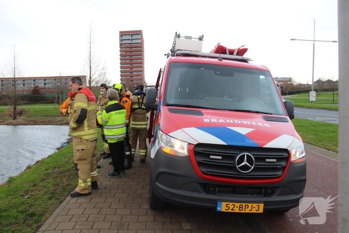 Zwaan met poot vast aan visdraad