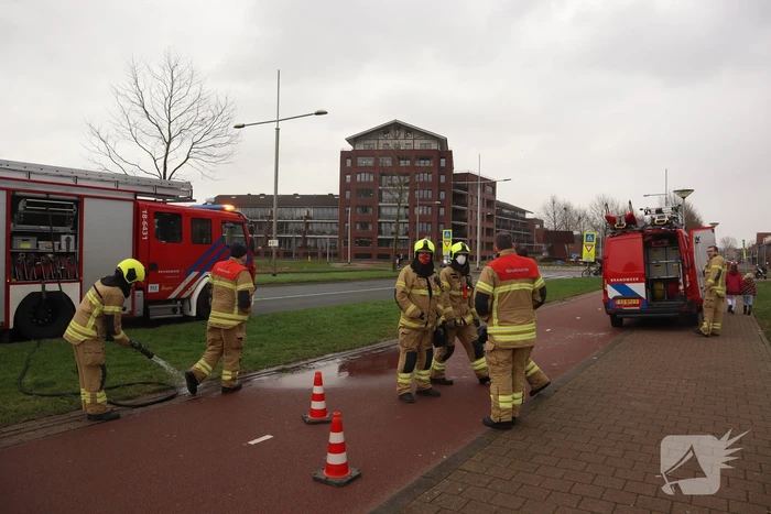 Zwaan met poot vast aan visdraad