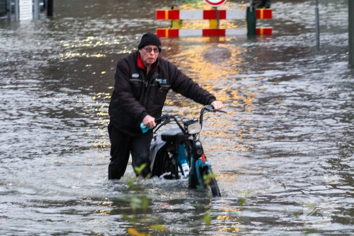 nieuws koningin wilhelminahaven zuidwestzijde - kon. wilhelminahaven zuidwestzijde vlaardingen