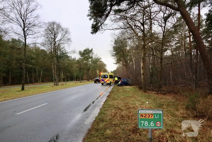 Automobilist raakt van de weg en botst tegen boom