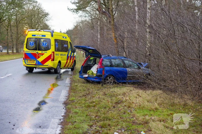 Automobilist raakt van de weg en botst tegen boom