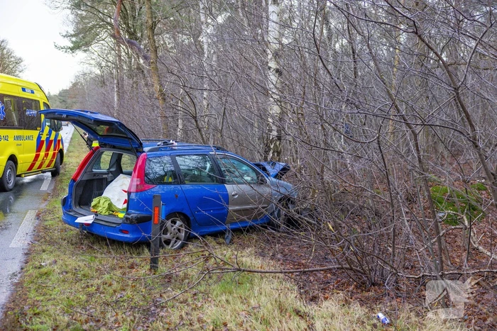Automobilist raakt van de weg en botst tegen boom