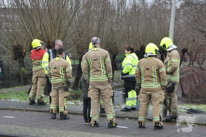 Brandweer redt uil uit boom
