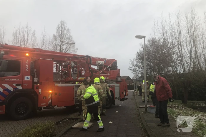 Brandweer redt uil uit boom