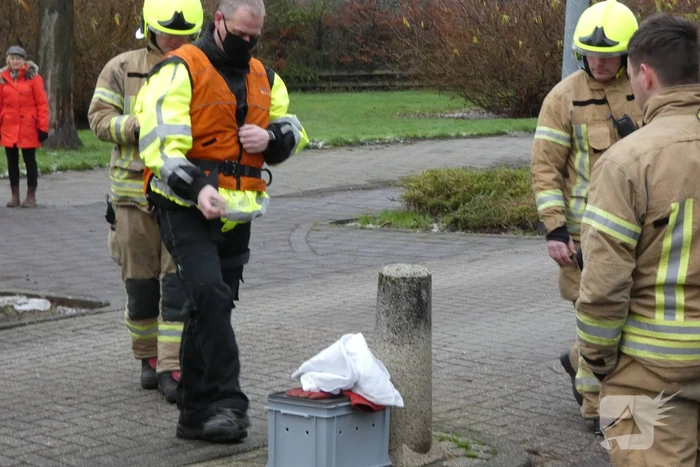 Brandweer redt uil uit boom