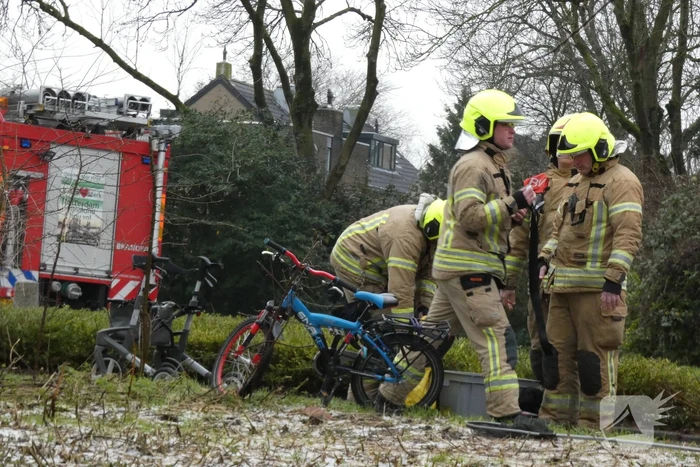 Brandweer redt uil uit boom
