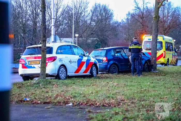 Bestuurster raakt van de weg en botst tegen boom
