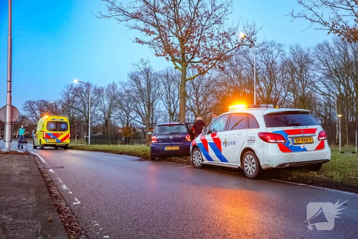Bestuurster raakt van de weg en botst tegen boom