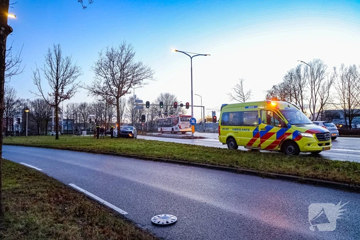Bestuurster raakt van de weg en botst tegen boom