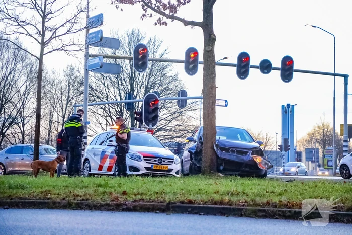 Bestuurster raakt van de weg en botst tegen boom