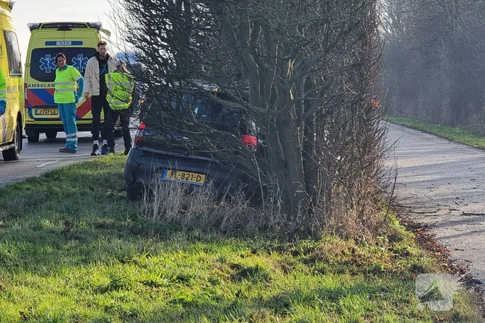 Automobilist eindigt in bosschage