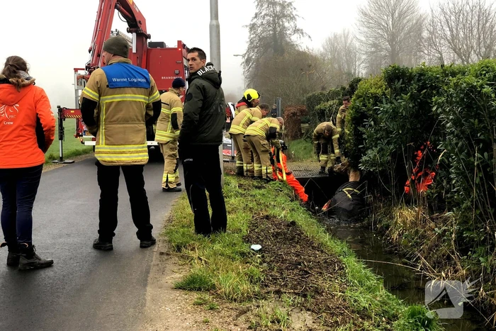 Paard valt in sloot