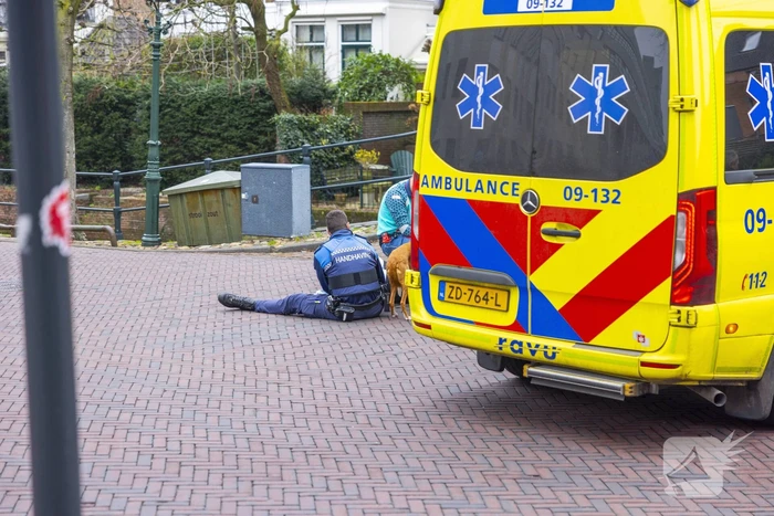 Fietsster slaat over de kop met aangelijnde hond