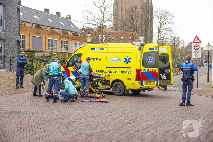 Fietsster slaat over de kop met aangelijnde hond