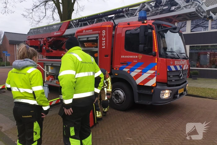 Brandweer haalt vast zittende vogel uit boom