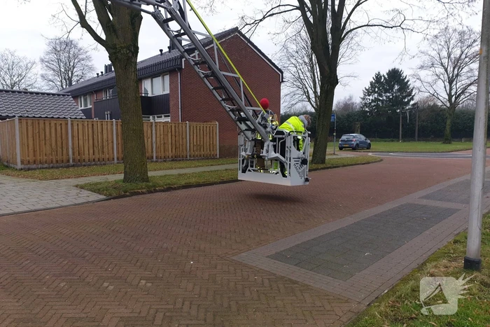 Brandweer haalt vast zittende vogel uit boom