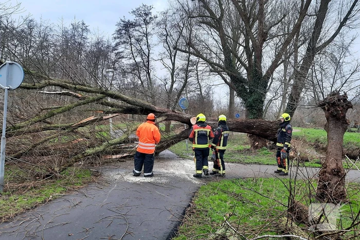 Enorme boom valt om