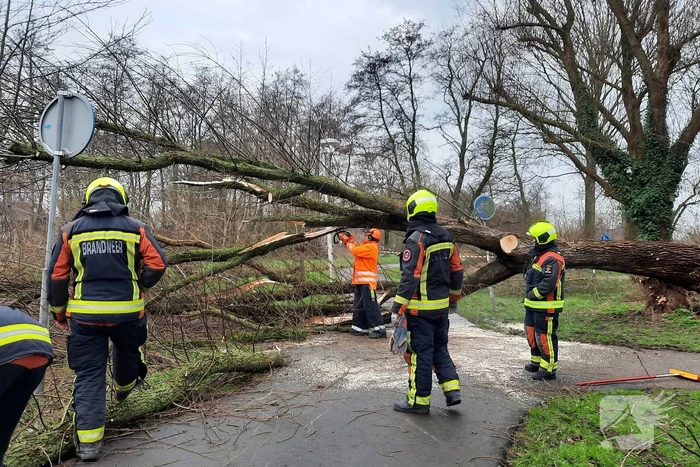 Enorme boom valt om
