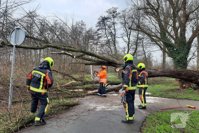 Enorme boom valt om