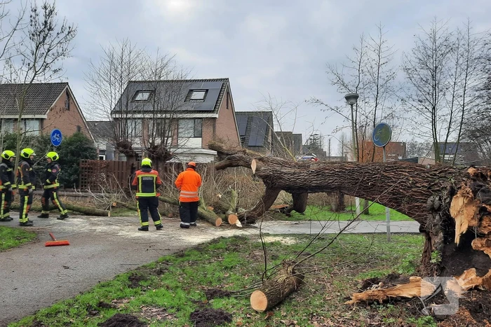 Enorme boom valt om