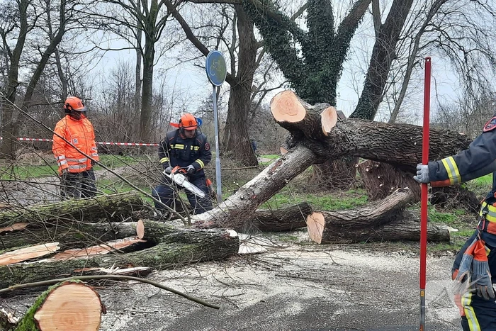 Enorme boom valt om